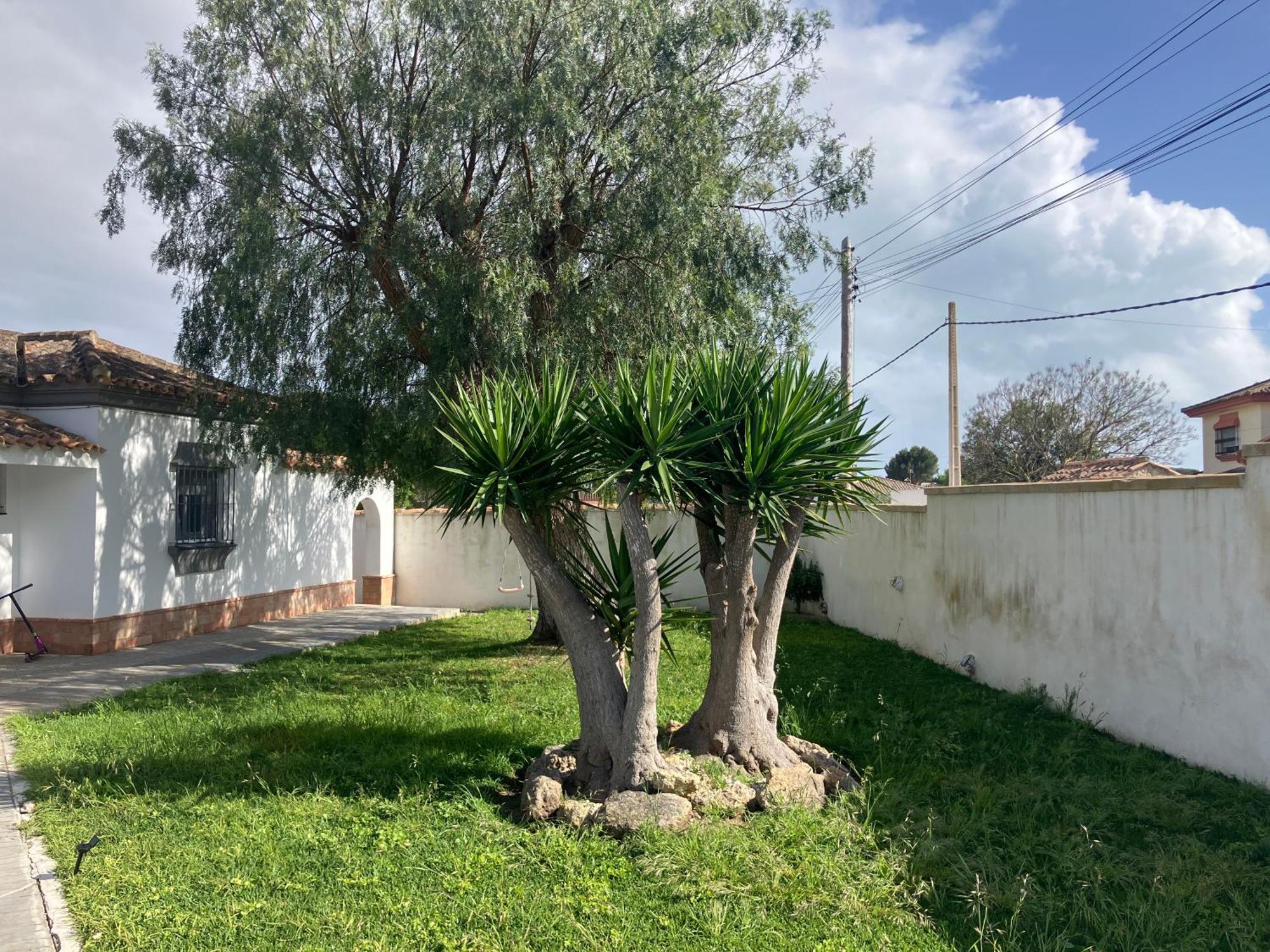 Chalet En Chiclana Novo Sancti Petri Εξωτερικό φωτογραφία
